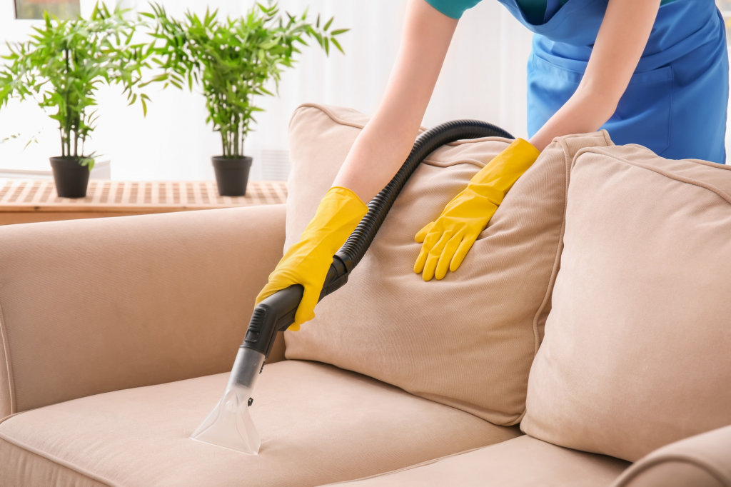  dry clean the couch at home