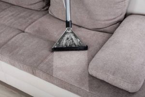 Upholstery cleaning professionals